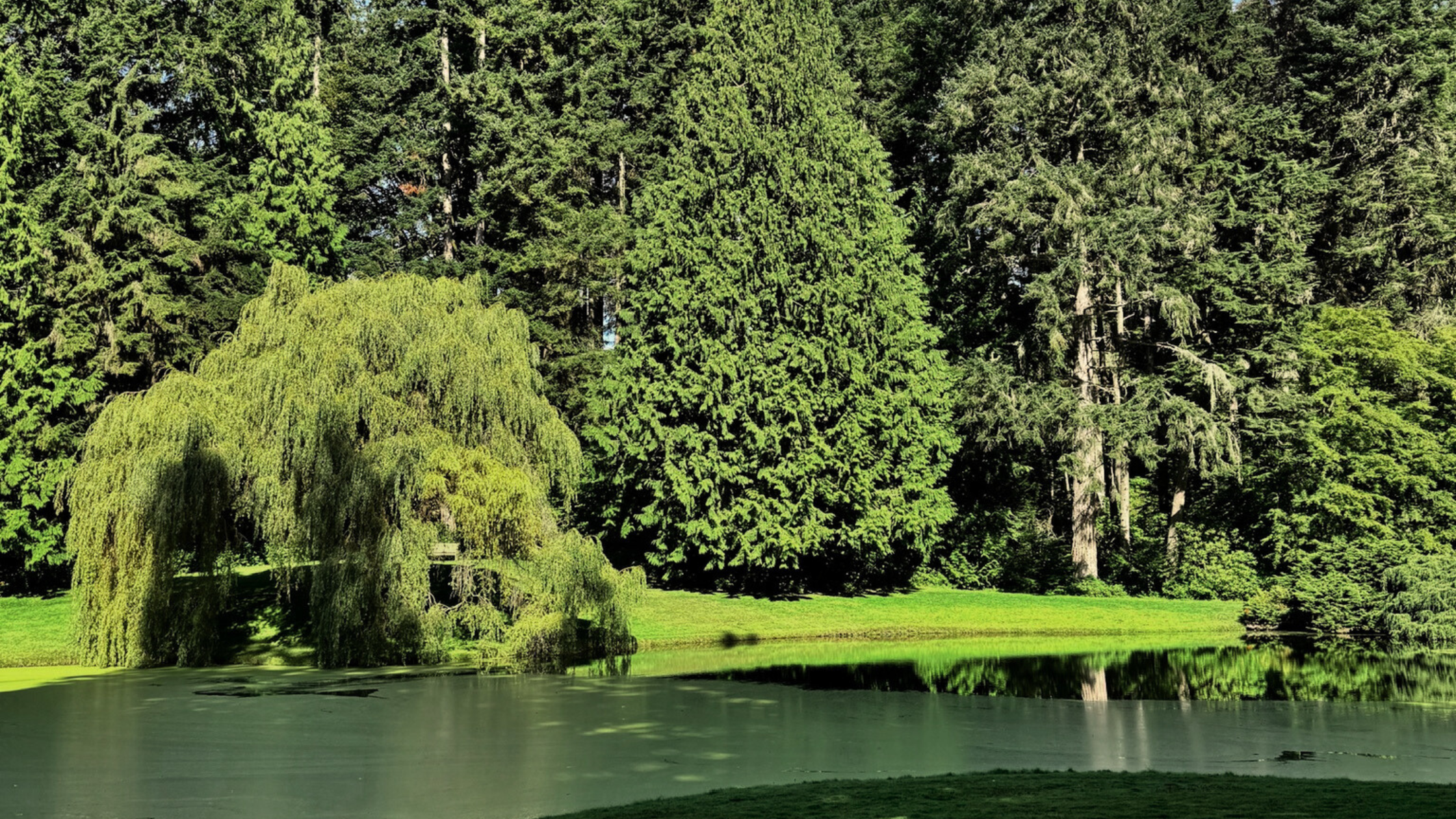 November 2025: We Thank