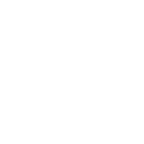 BuDhaGirl White Transparent Logo 500 x 500 pixels | BuDhaGirl